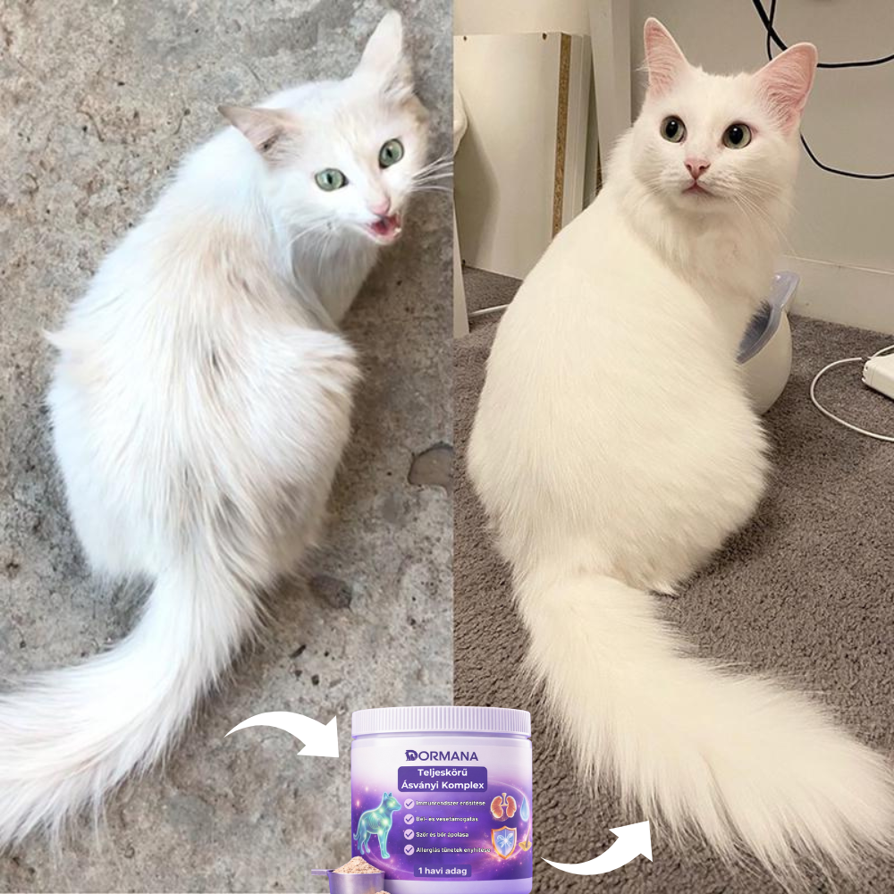 Teljeskörű Ásványi Komplex