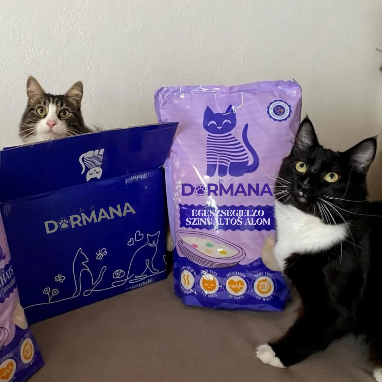 DORMANA - Egészségjelző Színváltós Okosalom